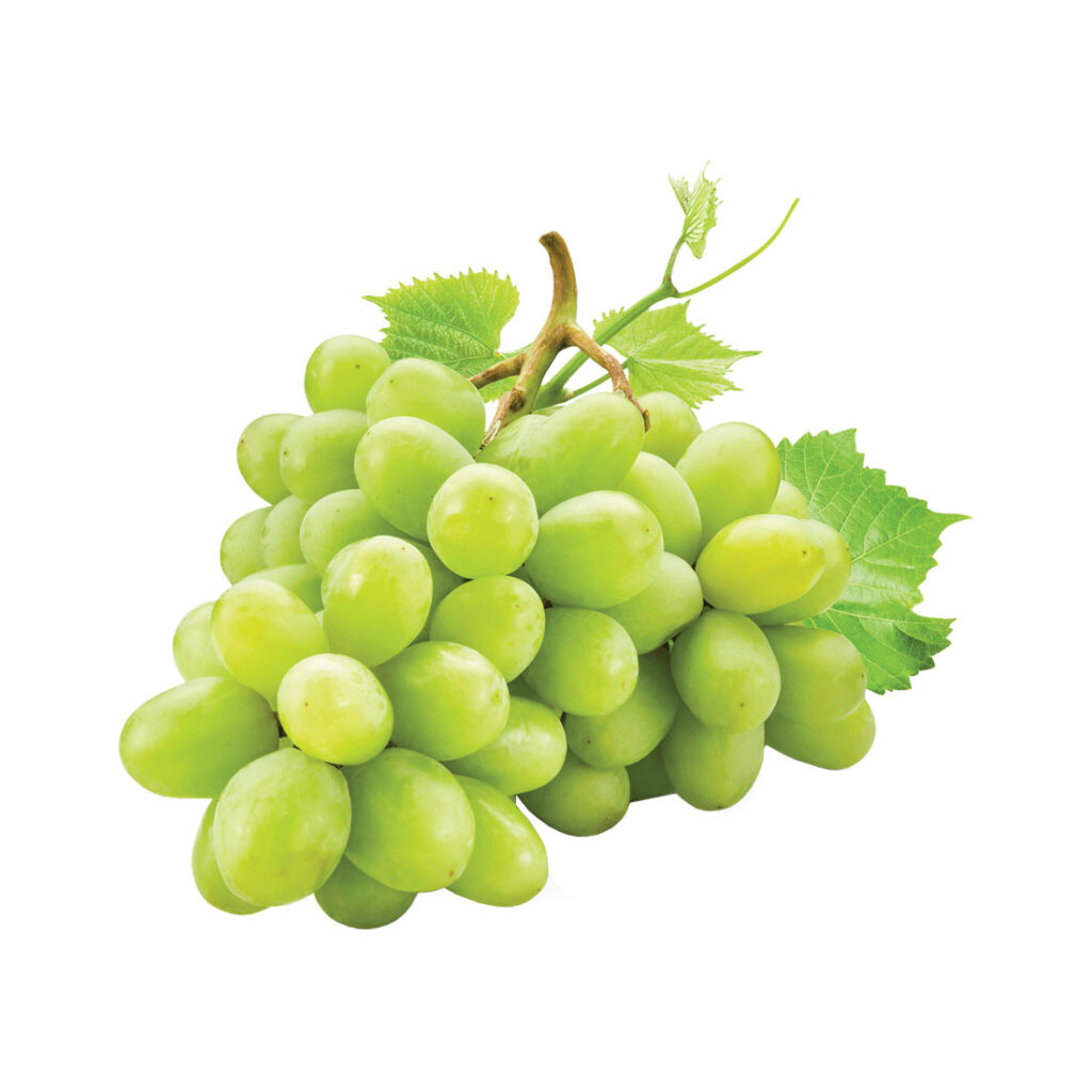 Кишмиш зеленый. Виноград Пино Блан. Fumari 100 гр – White grape (белый виноград). Fumari 100 гр – grape (виноград). Виноград КИШ Миш на белом фоне.